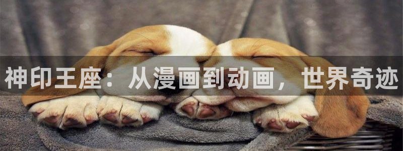 漫画网站jk韩漫在线观看：神印王座：从漫画到动画，世界奇迹