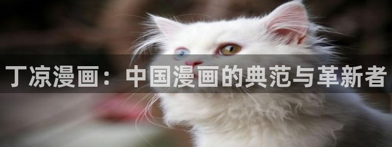 韩漫魔咒2漫画免费：丁凉漫画：中国漫画的典范与革新者