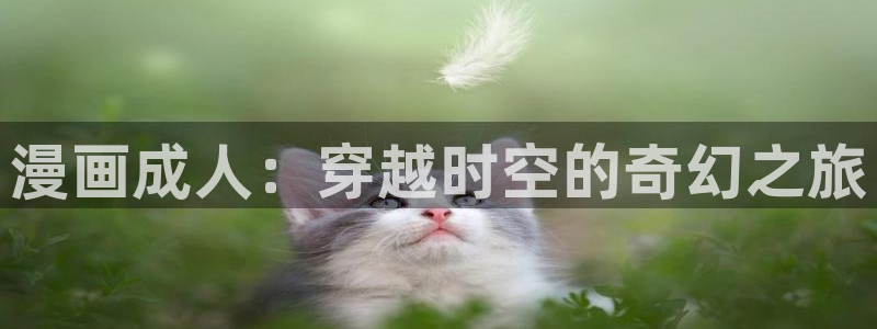 韩漫偷窥漫画无删减：漫画成人：穿越时空的奇幻之旅